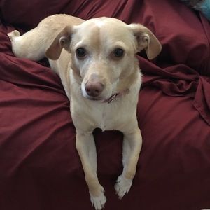 Meet your Posher, Argelia